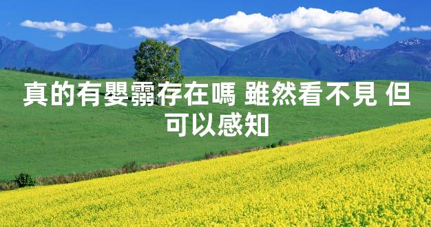 真的有嬰霛存在嗎 雖然看不見 但可以感知